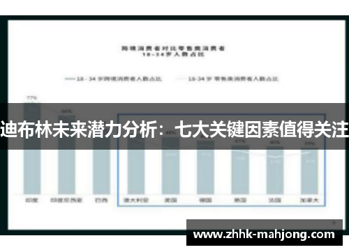 迪布林未来潜力分析：七大关键因素值得关注